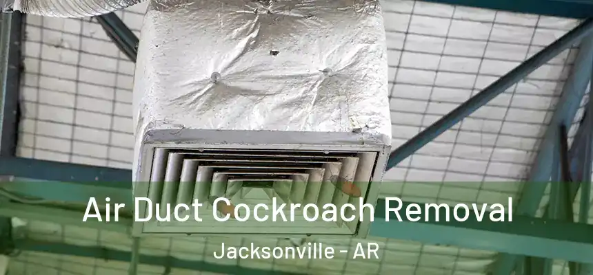Air Duct Cockroach Removal Jacksonville - AR