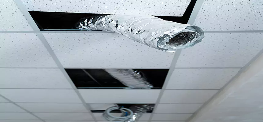 Our Air Duct Pet Hair Removal Services in Jacksonville, AR