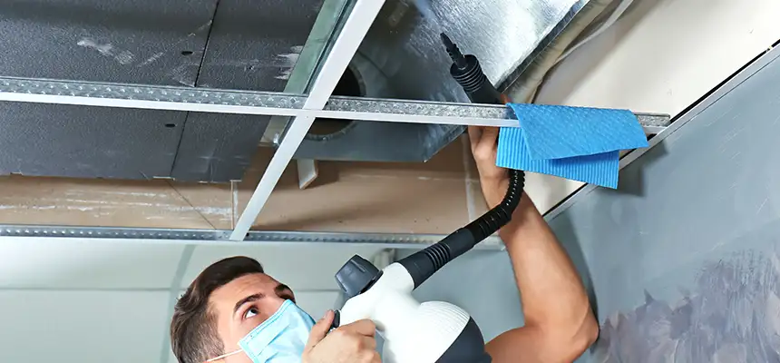 Our Air Duct Rodent Removal Services in Jacksonville, AR