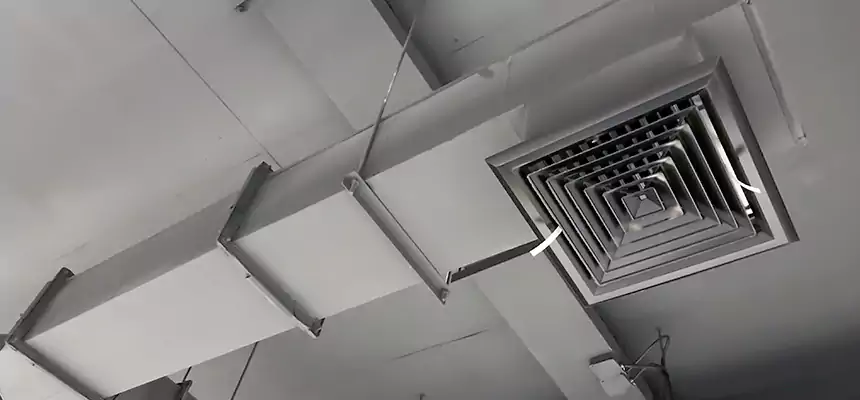 Our Rodent Droppings In Vents Services in Jacksonville, AR