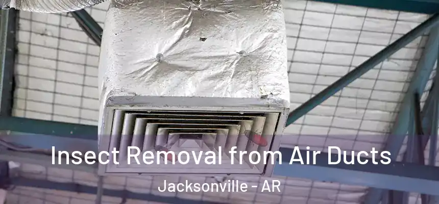  Insect Removal from Air Ducts Jacksonville - AR