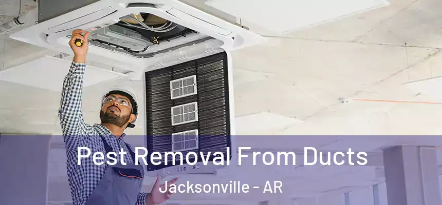  Pest Removal From Ducts Jacksonville - AR