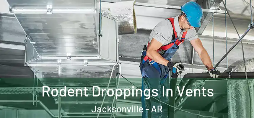 Rodent Droppings In Vents Jacksonville - AR