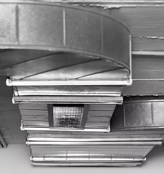 Professional Air Duct Pest Removal in Jacksonville, AR