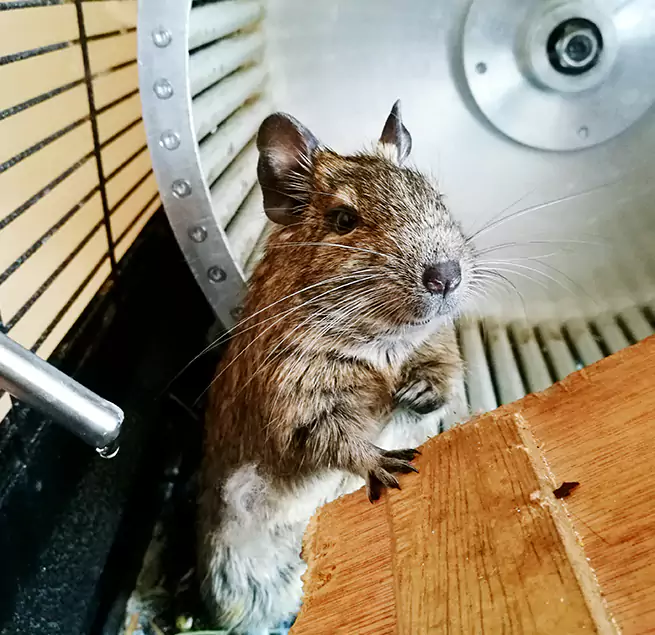 Why Homeowners & Businesses Trust Us Jacksonville, AR