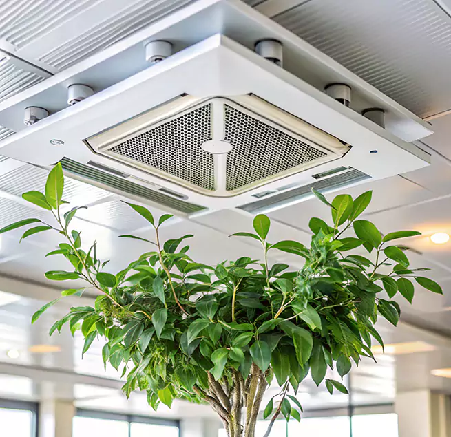 Why Homeowners & Businesses Trust Us in Jacksonville, AR?